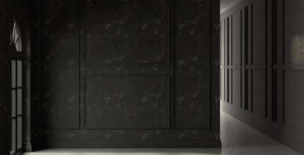 Absolute Black Granite